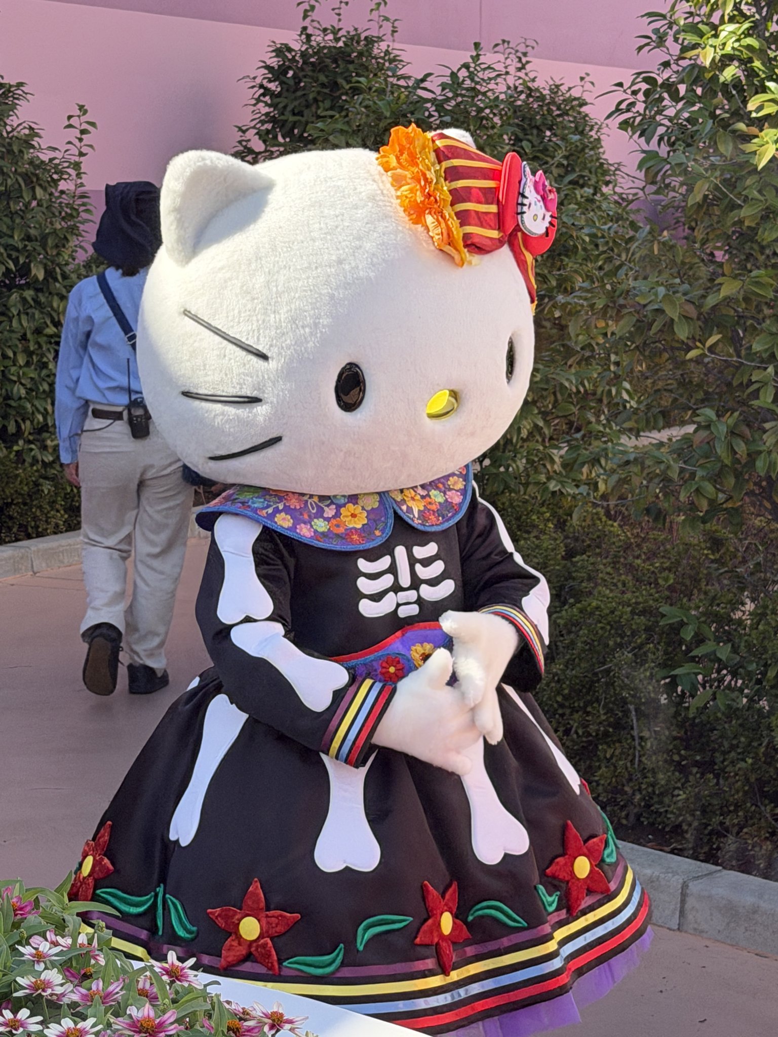 キティ・ホワイト